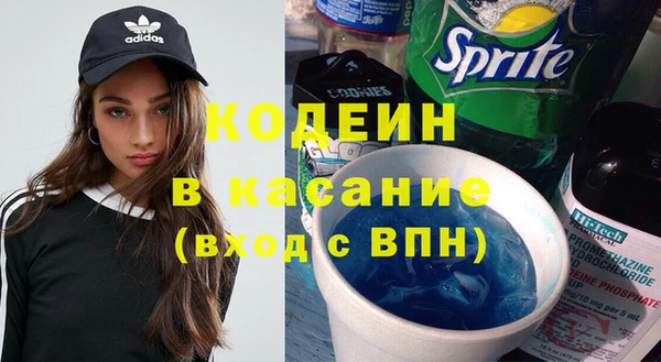шишки Алексин